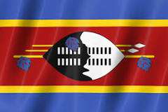 eswatini flag.jpeg